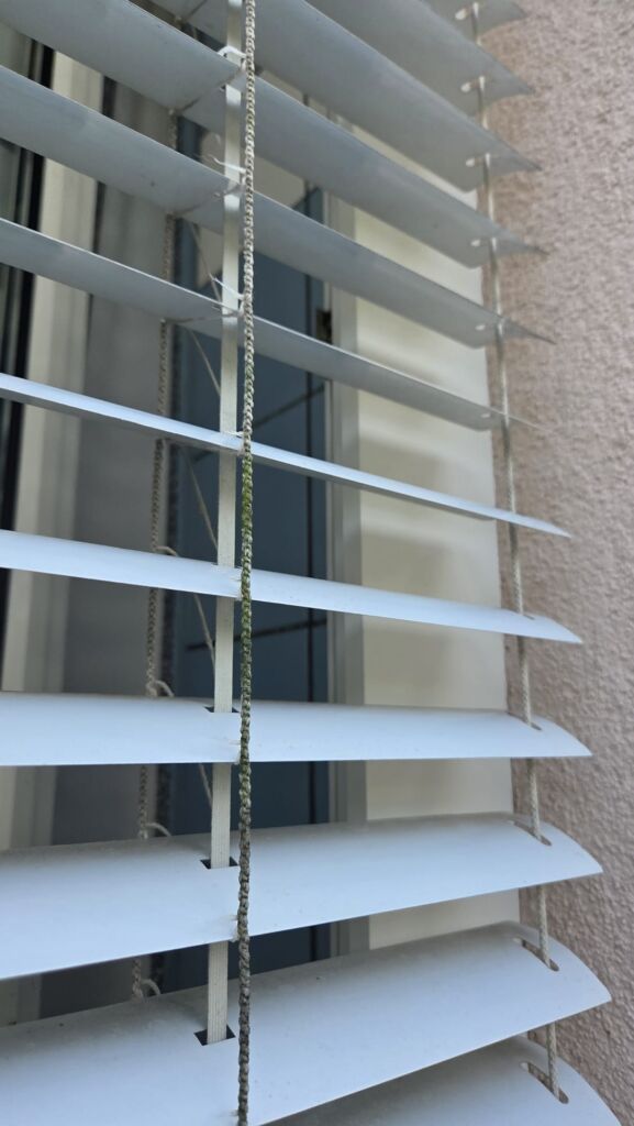 Jalousie mit reparaturbedürftiger Zugschnur